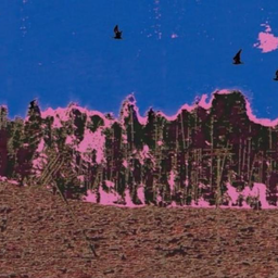 𝐅𝐂 𝐋𝐮𝐭𝐡𝐞𝐫'